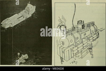 Cet examen donne un aperçu de la situation des pêches commerciales en 1968, y compris des statistiques sur les prises, des tendances du marché et des défis auxquels l'industrie de la pêche a été confrontée pendant cette période. Banque D'Images