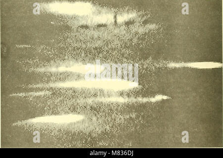 Examen de la pêche commerciale (1970) (20479558698) Banque D'Images