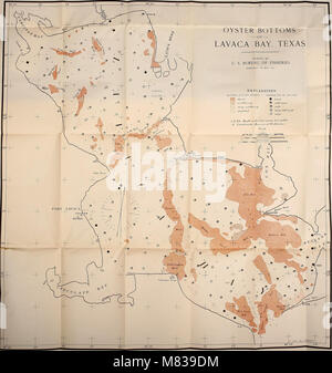 L'état et l'étendue de l'huîtres naturelles et stérile des fonds de Lavaca Bay, Texas (1915) (20686607111) Banque D'Images