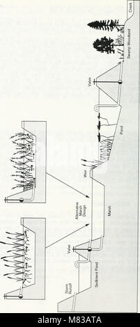 Les zones humides artificielles pour la gestion des eaux pluviales - une revue (1992) (20495606108) Banque D'Images