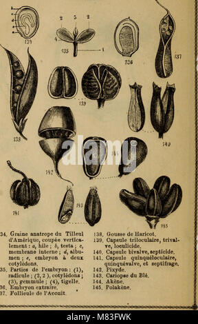 Cours élémentaire de botanique et flore du Canada a l'usage des maisons d'éducation (1871) (20708976061) Banque D'Images