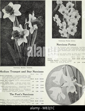 La chalp bulbes et plantes - automne 1928 (1928) (20822366781) Banque D'Images