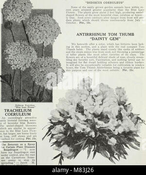 L'édition 1930 de Currie's Farm and Garden Annual, qui offre des conseils pratiques sur l'agriculture et le jardinage pour la saison printanière, y compris les techniques de plantation, l'entretien des cultures et la gestion des sols. Banque D'Images