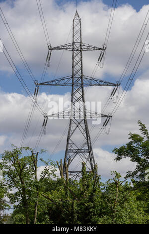 Un pylône d'électricité passant au-dessus des arbres à Londres Banque D'Images