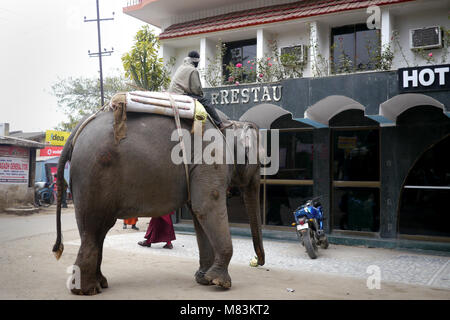 Bohd Ghaya, Inde - 22 octobre 2015 : Man riding son éléphant en ville de l'Inde. Banque D'Images