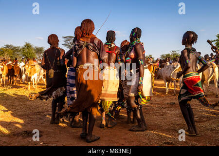 Les jeunes femmes Hamar Dancing un taureau sautant Cérémonie, Dimeka, vallée de l'Omo, Ethiopie Banque D'Images