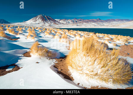 Laguna Miscanti Miscanti (Lagoon) et Cerro Miscanti Miscanti (Hill) dans l'Altiplano (haut plateau andin) à une altitude de 4350m, Nat Los Flamencos Banque D'Images