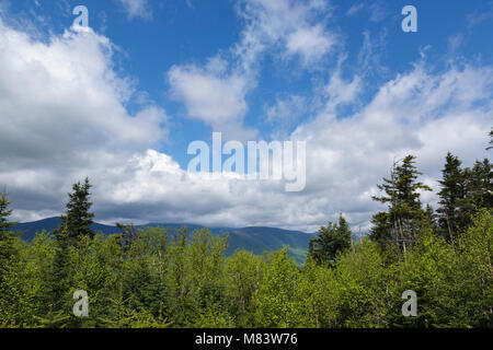 Vue de l'atterrissage pour hélicoptère sur le sommet du Mont Rose (Nord) dans les Montagnes Blanches du New Hampshire. Banque D'Images