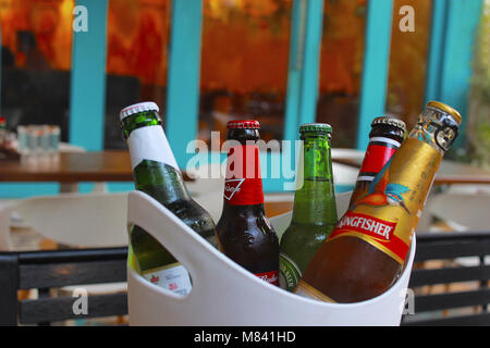 Les bouteilles de bière froide et humide dans un récipient Banque D'Images