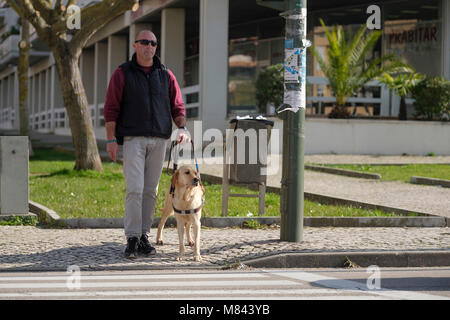 Personne aveugle avec chien-guide en attendant de traverser la route Banque D'Images