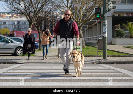 Personne aveugle avec chien-guide de traverser la route sur un passage pour piétons Banque D'Images