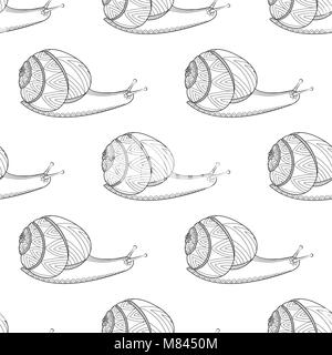 Fontaines de couleurs noir et blanc illustration vectorielle. Mollusques invertébrés la faune. La vie sauvage de fond transparente tangle Zen. Illustration de Vecteur