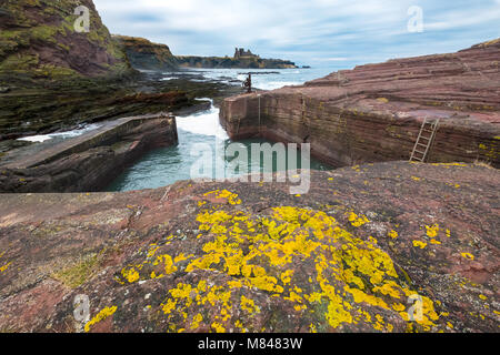 Vue sur petit port à Gerpinnes dans East Lothian, Ecosse, Royaume-Uni Banque D'Images