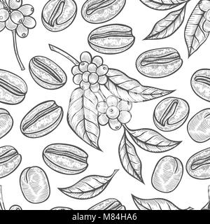 Branches de café. Illustration de feuilles et fruits de café au croquis style. Vintage avec des feuilles et du café. une tendance. Illustration de Vecteur