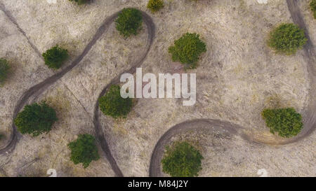 Vue de dessus de l'antenne de piste de course de motocross entre les arbres Banque D'Images