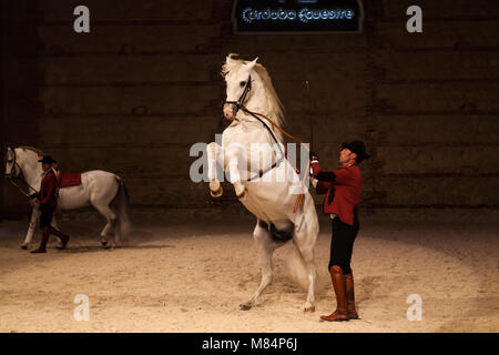 Spectacle équestre écuries royales cordoba Banque D'Images