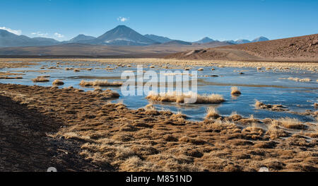 Volcan Putana (également connu sous le Jorqencal ou Machuca) près de Rio Putana Vado en désert d'Atacama, Chili - Amérique du Sud Banque D'Images