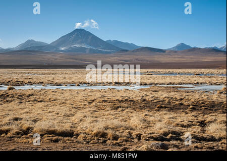 Volcan Putana (également connu sous le Jorqencal ou Machuca) près de Rio Putana Vado en désert d'Atacama, Chili - Amérique du Sud Banque D'Images