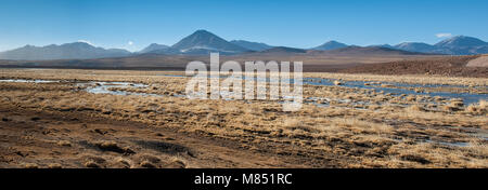 Volcan Putana (également connu sous le Jorqencal ou Machuca) près de Rio Putana Vado en désert d'Atacama, Chili - Amérique du Sud Banque D'Images