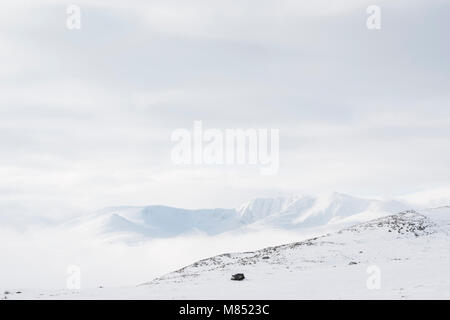 Au-dessus des nuages et brouillard au-dessous Lochnagar peu après le lever du soleil Banque D'Images