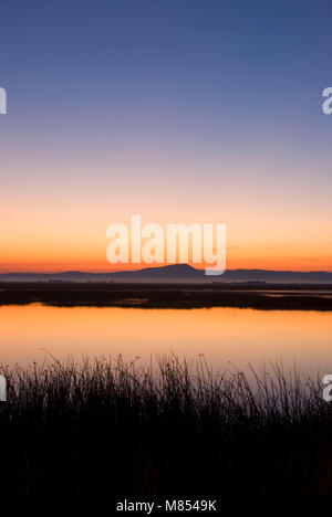 L'aube des zones humides, Klamath National Wildlife Refuge, en Californie Banque D'Images