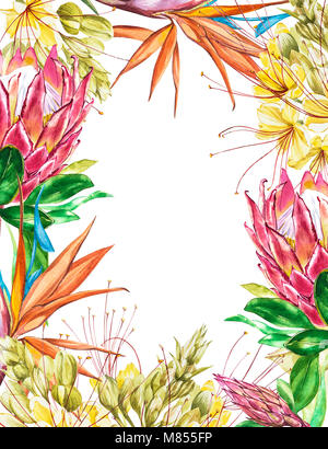 Vierge tropical pour le texte. Aquarelle Protea, Caesalpinia et fleurs de Strelitzia. Parfait pour un mariage ou une invitation, cartes de souhaits Banque D'Images