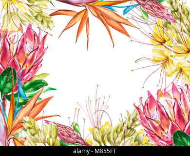 Vierge tropical pour le texte. Aquarelle Protea, Caesalpinia et fleurs de Strelitzia. Parfait pour un mariage ou une invitation, cartes de souhaits Banque D'Images