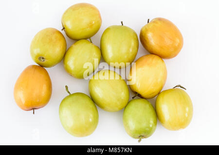 Prune indien ou jujubier (Ziziphus mauritiana) fruits sur fond blanc Banque D'Images