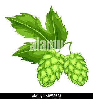 Le houblon vert avec la leaf. Illustration pour l'Oktoberfest Illustration de Vecteur