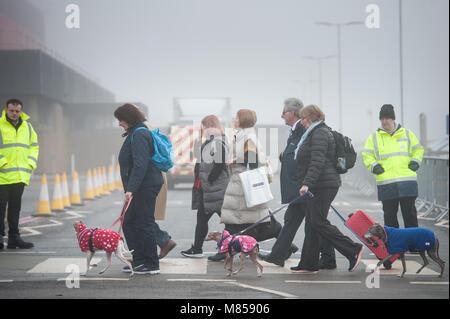 NEC, Birmingham, England, UK. 9 mars 2018. Sur la photo : les chiens et leurs propriétaires font leur chemin sur un passage pour piétons à proximité de l'entrée de NEC. / H Banque D'Images