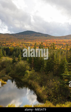 Couleurs d'automne le long de la Route 302 dans la région de Carroll, le New Hampshire, le cadre des Montagnes Blanches. Banque D'Images