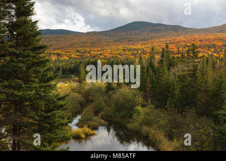 Couleurs d'automne le long de la Route 302 dans la région de Carroll, le New Hampshire, le cadre des Montagnes Blanches. Banque D'Images