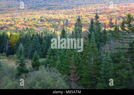 Couleurs d'automne le long de la Route 302 dans la région de Carroll, le New Hampshire, le cadre des Montagnes Blanches. Banque D'Images