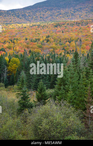 Couleurs d'automne le long de la Route 302 dans la région de Carroll, le New Hampshire, le cadre des Montagnes Blanches. Banque D'Images