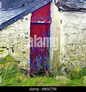 La porte rouge vif d'une ferme à l'abandon contraste fortement avec le paysage verdoyant alentour de Denbigh Maures. Banque D'Images