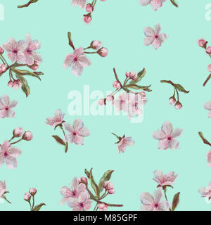 Arrière-plan transparent floral sur la menthe. Les fleurs du printemps la texture. Apple, amande, fleurs de cerisier. Peint à l'Aquarelle transparente Sakura. Banque D'Images