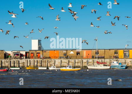 A Flock of seagulls voler au-dessus de la mer au port de Margate à marée haute sur une journée ensoleillée. Banque D'Images