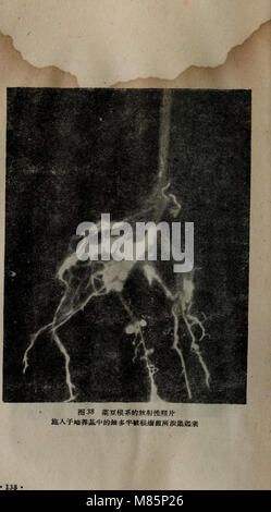 Dong Zhi wu sheng huo yuan zhong de wei liang tian ran su he fang yuan xing elle su (1959) (20985298162) Banque D'Images