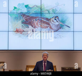 Bonhams, New Bond Street, London, UK. 14 mars 2018. Archibald Thorburn's une bécasse se reposant, la vente dans le 19e siècle victorien, européenne et britannique d'art impressionniste à la vente Bonhams. Credit : Malcolm Park/Alamy Live News. Banque D'Images