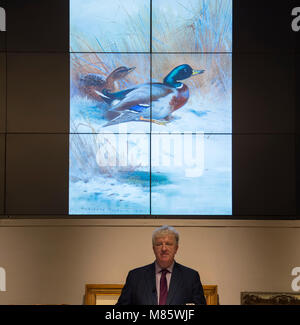 Bonhams, New Bond Street, London, UK. 14 mars 2018. Archibald Thorburn's Mallard, 1910, la vente dans le 19ème siècle, européenne et britannique victorienne art impressionniste à la vente Bonhams. Credit : Malcolm Park/Alamy Live News. Banque D'Images