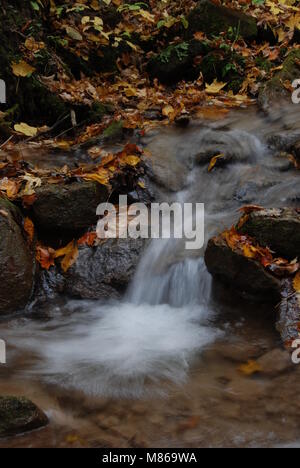 Cascade sur les rochers, avec les feuilles d'automne en arrière-plan Banque D'Images