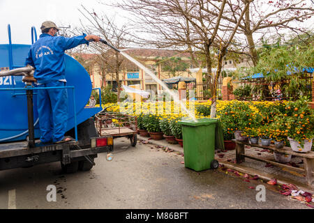 Un homme offre l'eau d'un navire-citerne dans un bac vert à un marché aux fleurs à Hoi An, au Vietnam. Banque D'Images