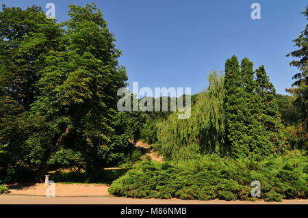 Ofiyivka "National Parc dendrologique' à Ouman, en Ukraine. Banque D'Images