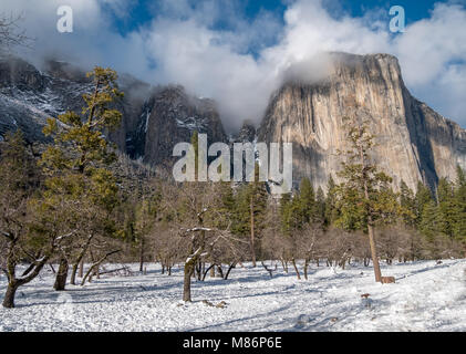 Vue d'El Capitan avec nuages bas sur la crête Banque D'Images