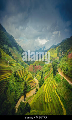 Les rizières en terrasses à ciel dramatique contexte en Mu Cang Chai, YenBai, Vietnam. Banque D'Images