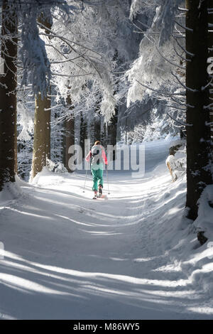 Femme ski de randonnée à travers la forêt,Hallein Salzburg, Autriche, Banque D'Images