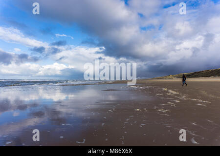 Nordseestrand bei Zandvoort, Provinz Nordholland, Niederlande | Plage de la mer du Nord près de Zandvoort, province de la Hollande du Nord, Pays-Bas Banque D'Images