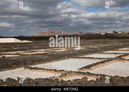 La production de sel de mer à Lanzarote, las Salinas de Janubio' Banque D'Images
