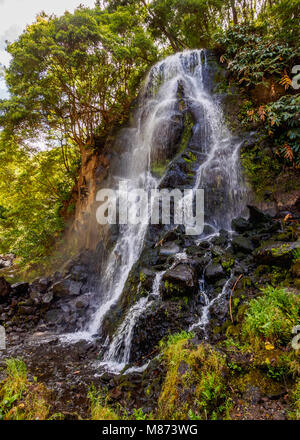 Cascade dans le Parc Naturel de la Ribeira dos Caldeiroes, Nordeste, l'île de São Miguel, Açores, Portugal Banque D'Images