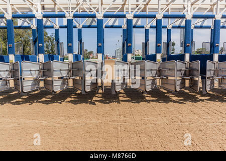 Les courses de chevaux à l'intérieur du compartiment de la porte de départ pour chaque cheval et jockey course prêt pour l'action. Banque D'Images